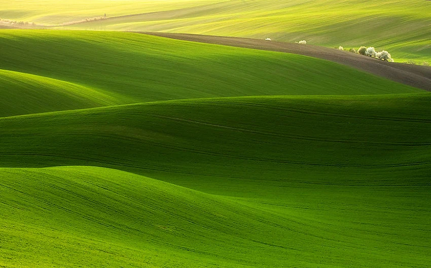 12 amazing photos of the Moravian fields in the Czech Republic