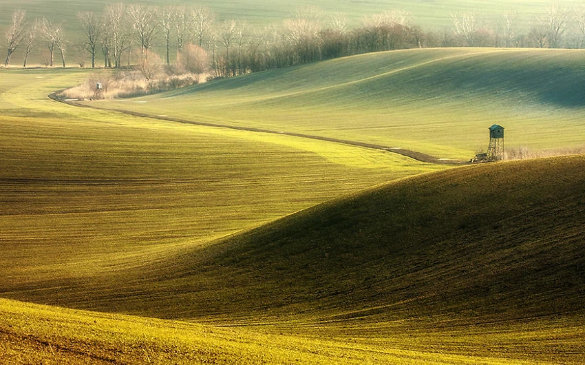 12 superbes photos des champs moraves en République tchèque