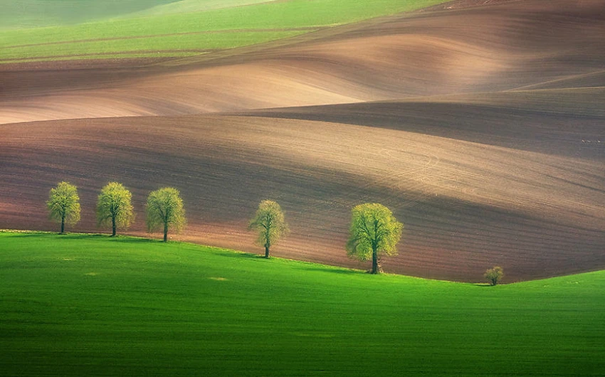 12 superbes photos des champs moraves en République tchèque