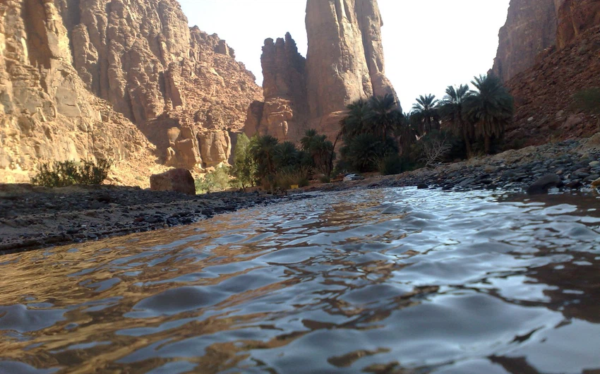 In pictures: the 10 most beautiful places for koshta in Saudi Arabia