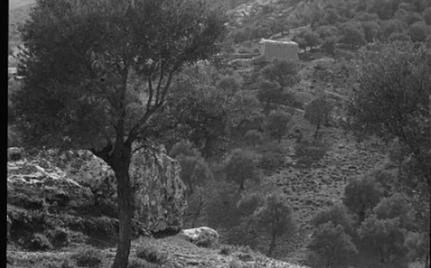 قلعة عجلون مع مطلع القرن العشرين