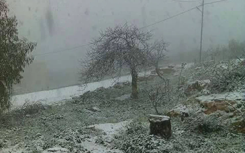 صور لتساقط الثلوج في منطقة رأس منيف في عجلون قبل قليل مشاركة من اشرف صمادي 