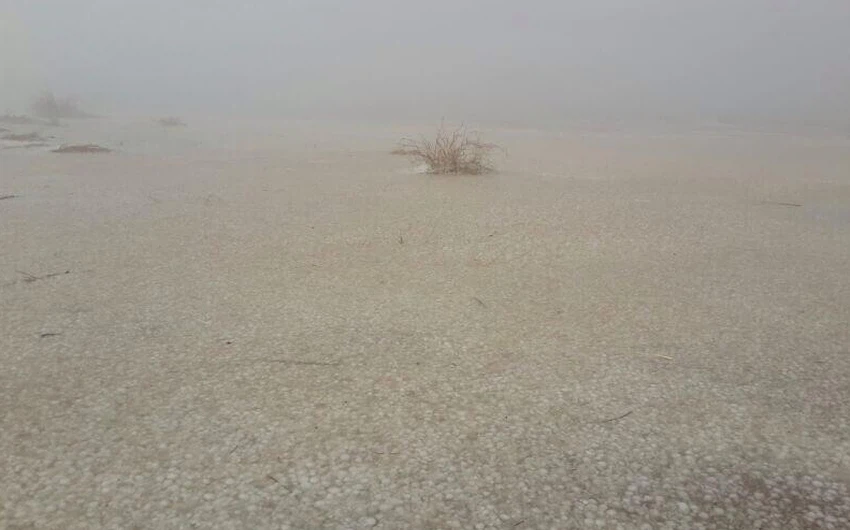 بالصور : موجة ضباب كثيف تُغطي مساحة مئات آلاف الكيلومترات من أراضي السعودية