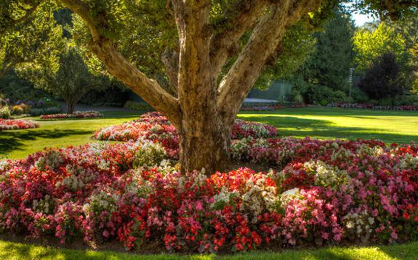 En images : l&#39;un des plus beaux jardins du monde
