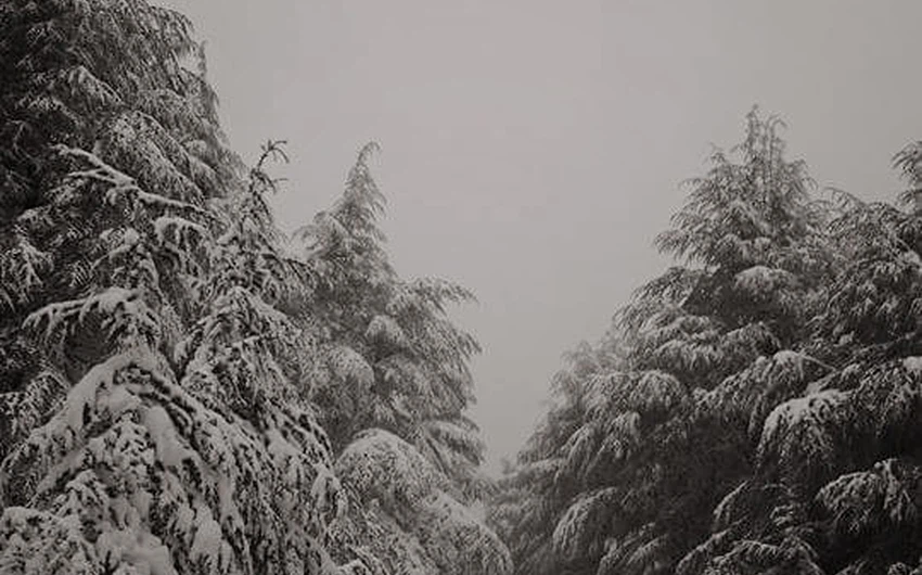 صور الثلوج من جبال البابور للمصور شعيب درويش 
