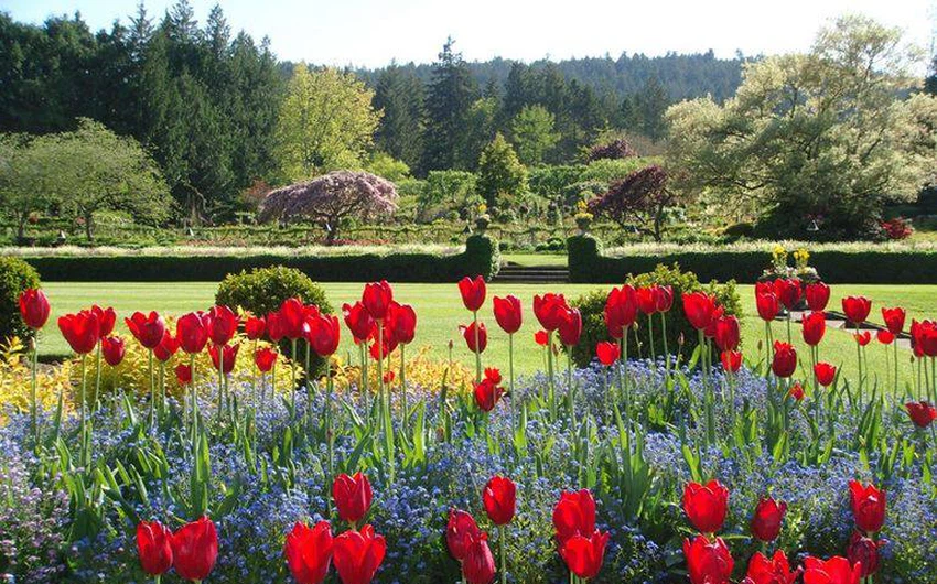 In pictures: one of the most beautiful gardens in the world