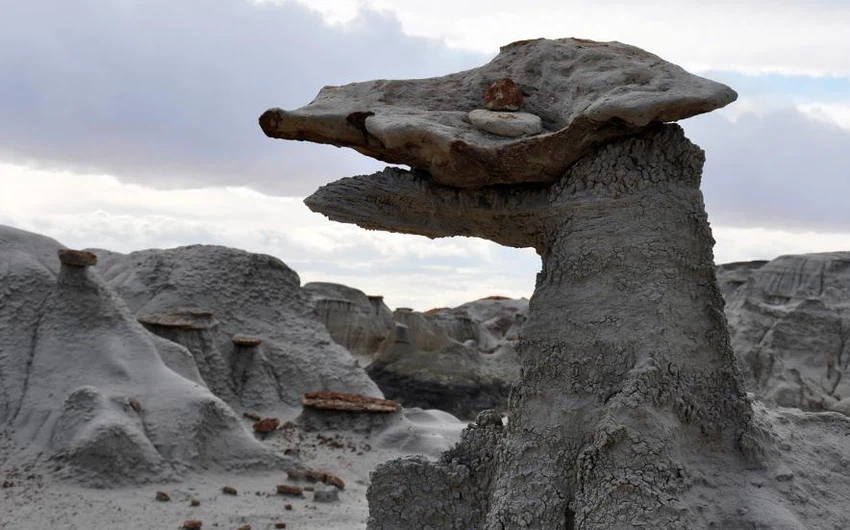 المكسيك - تشكيلات للصخور على شكل حيوان
