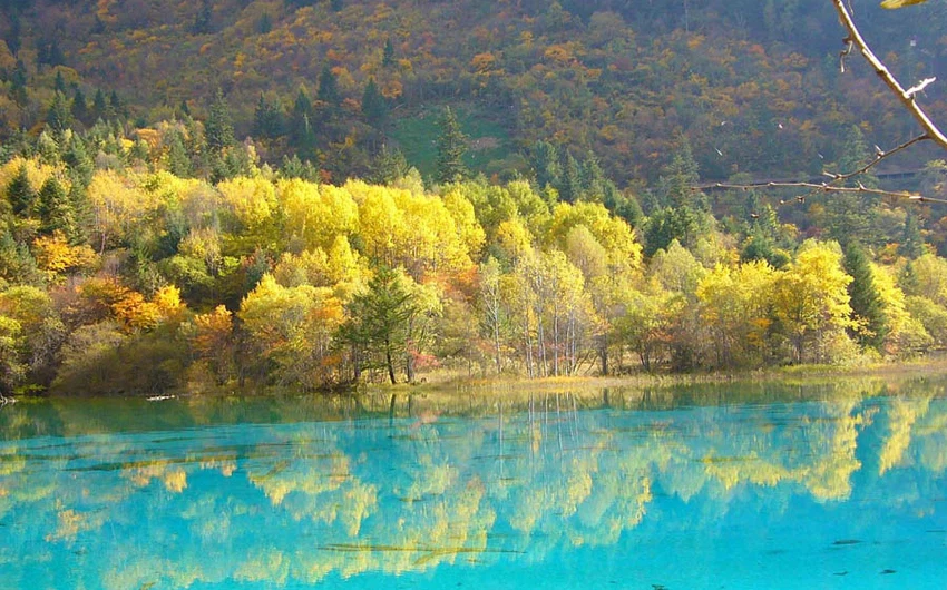صور رائعة .. تجعل الخريف أجمل فصول السنة في الصين