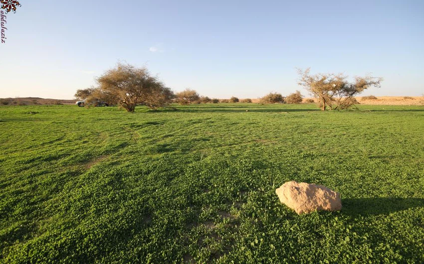 بالصور: وادي الحجرة بالباحة يتحول من صحراء قاحلة إلى جنة خضراء بعد الامطار