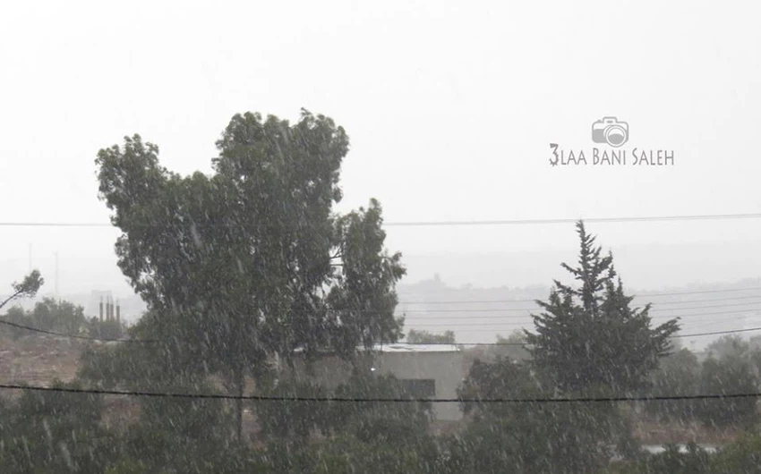بالصور: الأمطار الغزيرة تروي لواء الكورة بمحافظة إربد     