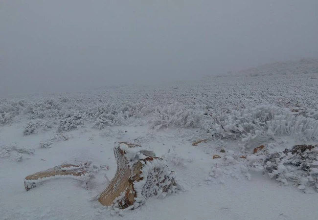 حالة من الانجماد الشديد ضربت جبال الشراه / تصوير ابراهيم خليفات