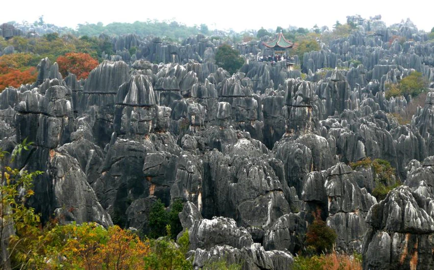 الصين- غابة الصخور عمرها 280 مليون سنة