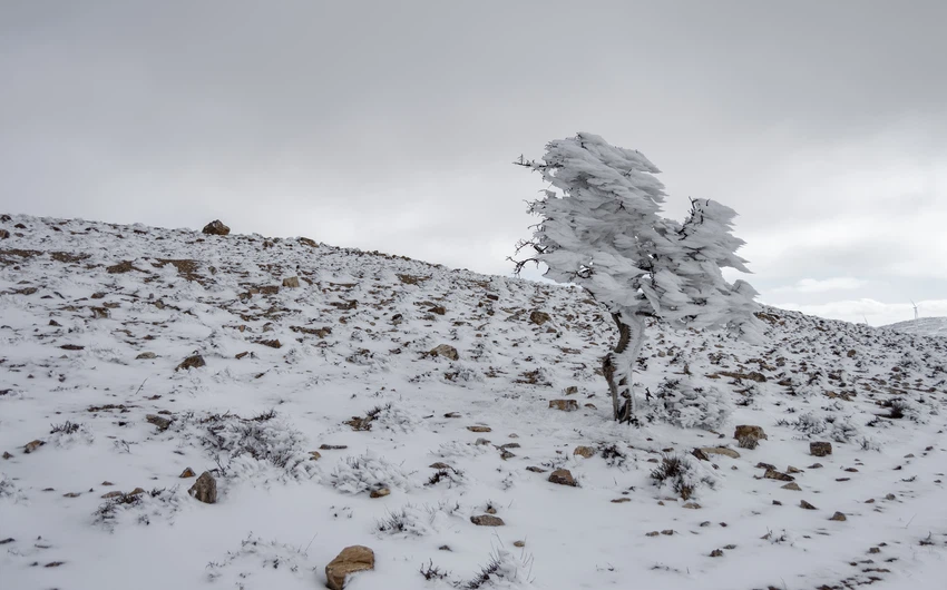 بالصور والفيديو | انجماد وصقيع جبل مبرك في لواء البتراء اليوم الخميس