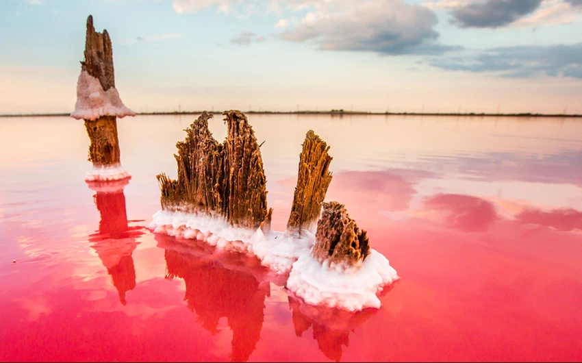 اكتسبت المياه اللون الأحمر بفعل طحالب الوردية التي تتكاثر بسرعة في بيئة من المياه شديدة الملوحة. 