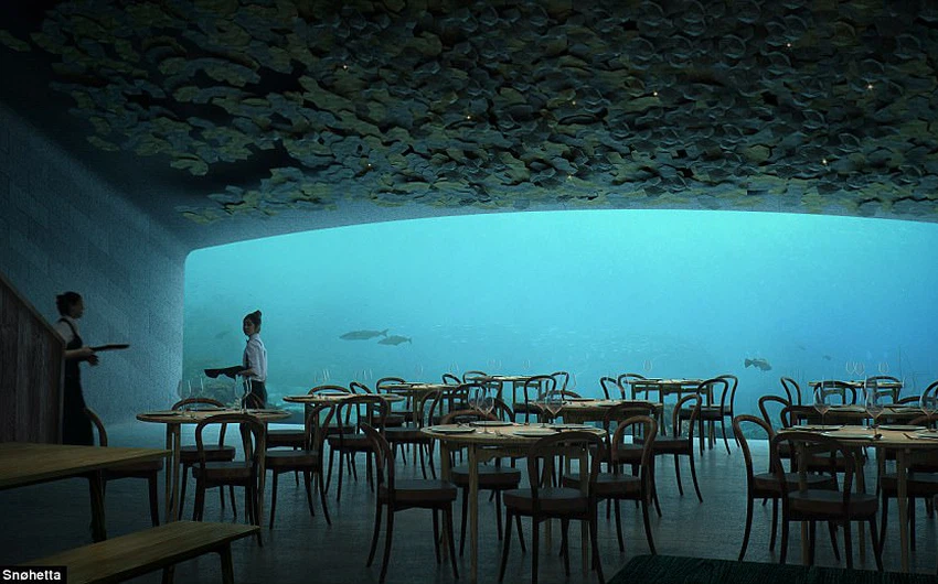 بالصور .. شاهد أول مطعم تحت الماء في أوروبا