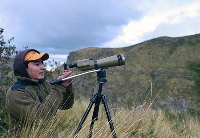 النسر الذهبي على حافة الانقراض بسبب الصيد وتغيرات المناخ