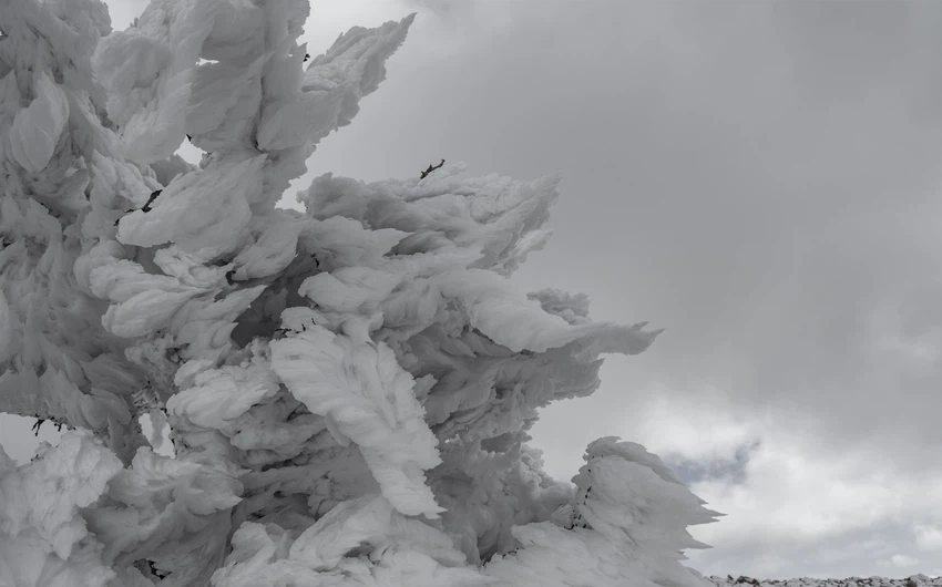 بالصور والفيديو | انجماد وصقيع جبل مبرك في لواء البتراء اليوم الخميس