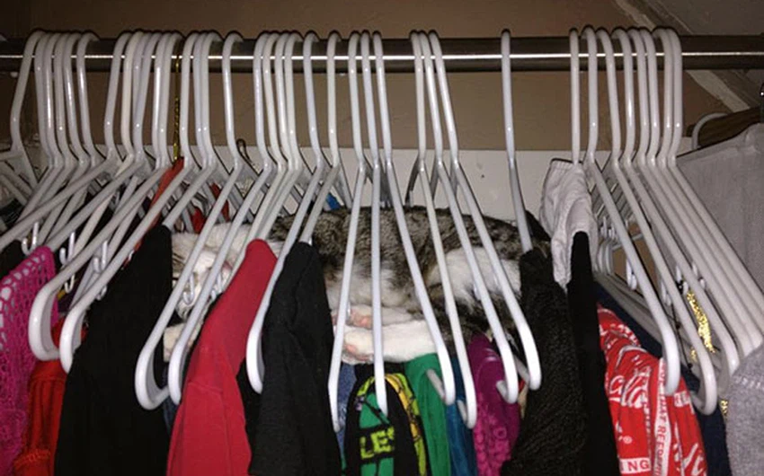 النوم داخل خزانة الملابس