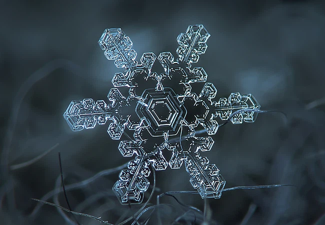 يقول المثل الروسي الشهير،لا يوجد حبتي ثلجي تُشبهان بعضهما ، في كناية عن اختلاف الناس حتى لو كانوا إخوة