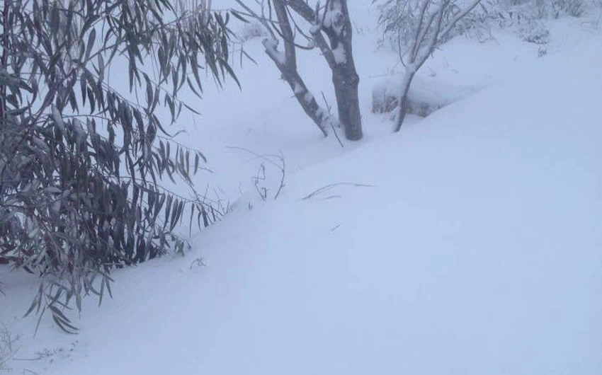 بالصور: تعطل مظاهر الحياة في محافظتي الكرك والطفيلة بسبب تراكم الثلوج