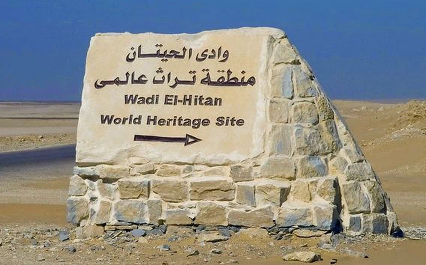 Wadi Al-Hitan..le pays des baleines sauvages