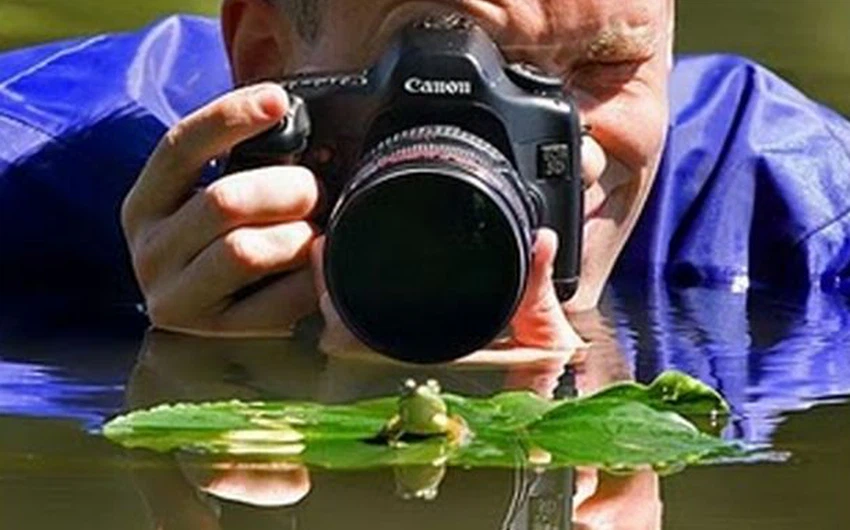 مصور يغطس بالمياه ليحظى بصورة لهذا الضفدع الصغير 