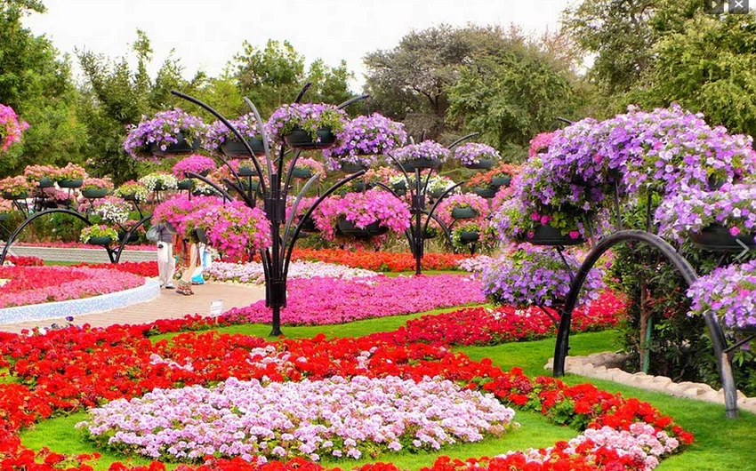 جنة خضراء مليئة بـ حدائق الزهور، هكذا أراد الشيخ زايد بن سُطان لإمارة العين أن تكون