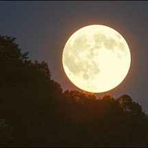 How often does the phenomenon of the giant moon occur?
