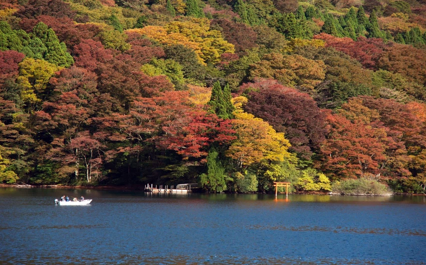 بالصور: 6 أماكن لمشاهدة ألوان الخريف الرائعة  في اليابان