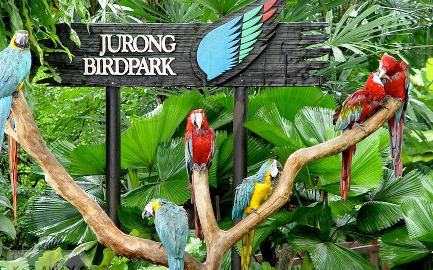 The best parks and amusement parks in Singapore
