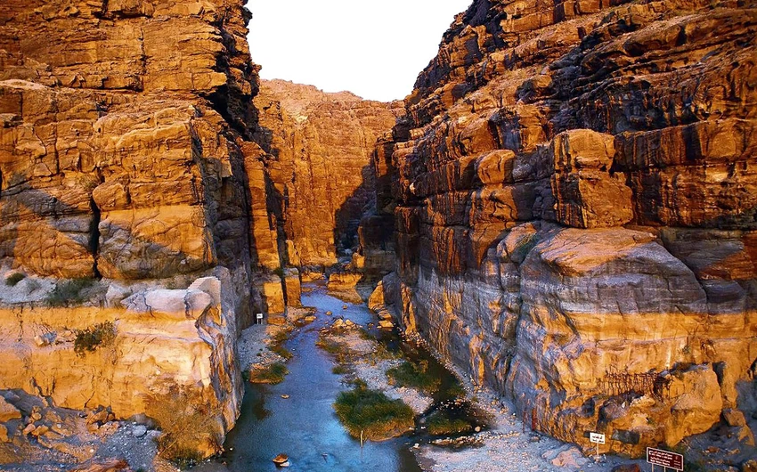 بالصور: شاهد مدى جمال الطبيعة والحياة في الأردن