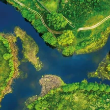 What are wetlands?