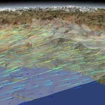 ماذا يعني اختصار PBL؟