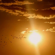 What is heat stress?