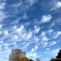 What type of cloud looks like a thin, wavy ribbon and is often associated with high-altitude atmospheric turbulence?