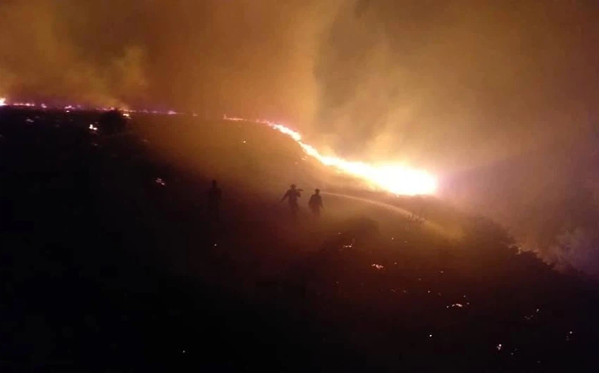 Algérie | Un appel de détresse pour protéger les forêts balanciers à Thaniya pour juguler les feux de forêts qui font rage depuis des jours... Voir les photos
