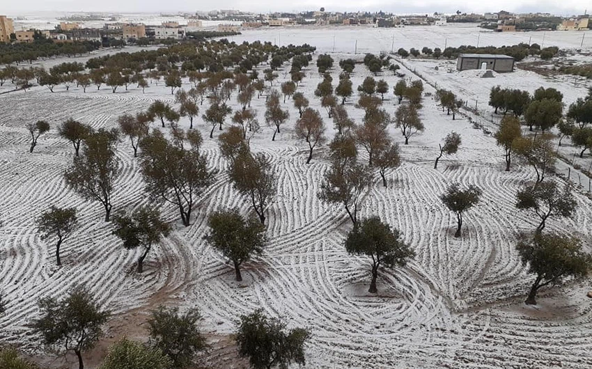 In pictures: Snow visits various parts of the kingdom today, Tuesday, and accumulations in the south of the kingdom