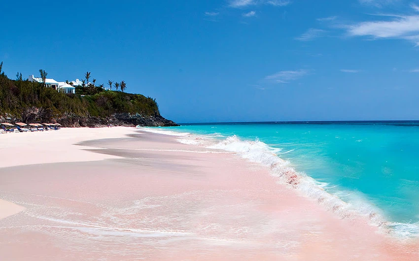 شاطئ الرمال الوردية في جزر البهاما