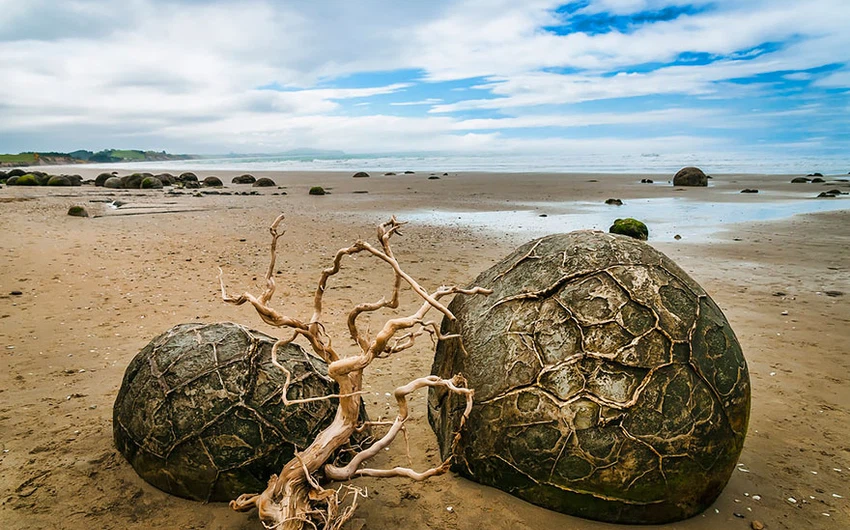 بيض التنين بشاطئ كويكوه في نيوزيلندا