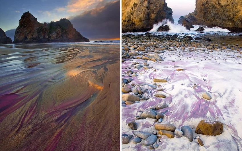 شاطئ الرمال البنفسجية في كاليفورنيا