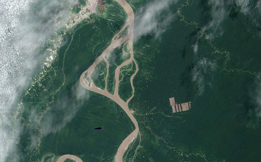 عمليات مؤسفة لإزالة الغابات في الأمازون