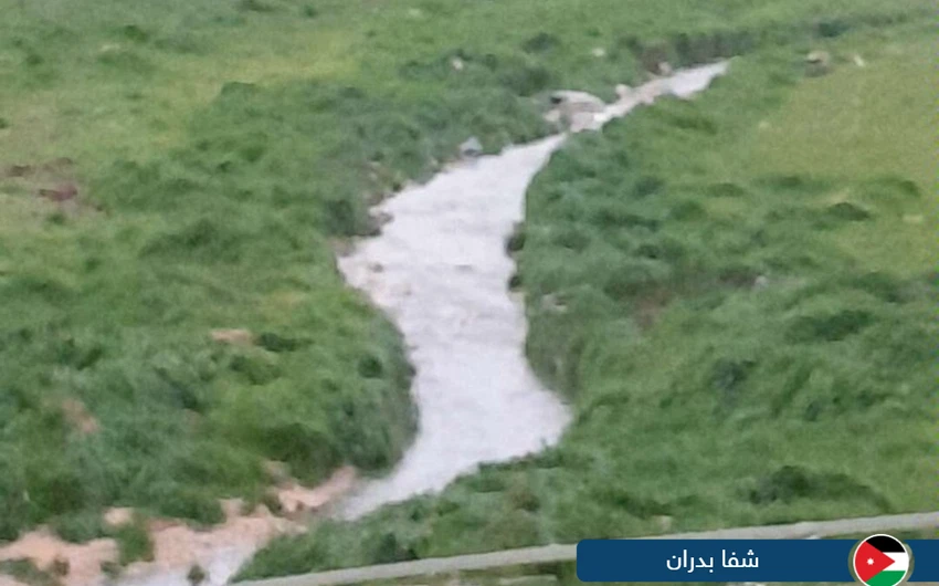 لقطات مميزة لمدى تأثير حالة عدم الاستقرار الجوي التي أثرت على الأردن اليوم من مختلف المناطق