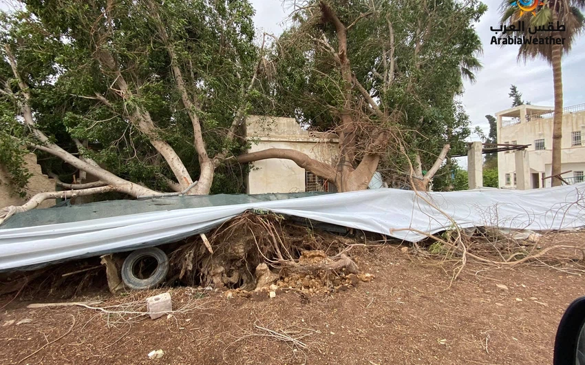 غور الأردن | أضرار كبيرة في البيوت البلاستيكية بفعل الرياح الشديدة
