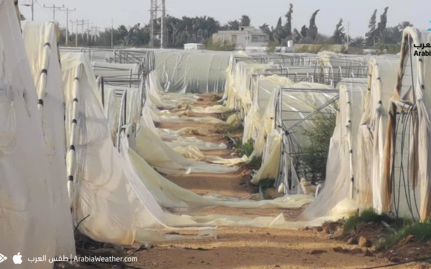 Jordan Valley Significant damage to greenhouses due to strong winds