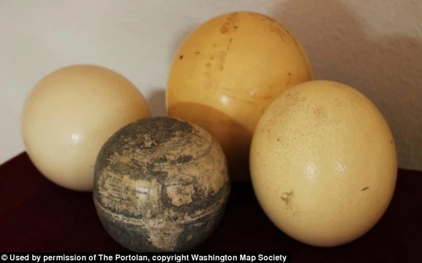 نموذج كرة ارضية قديم منقوش على بيض النعام