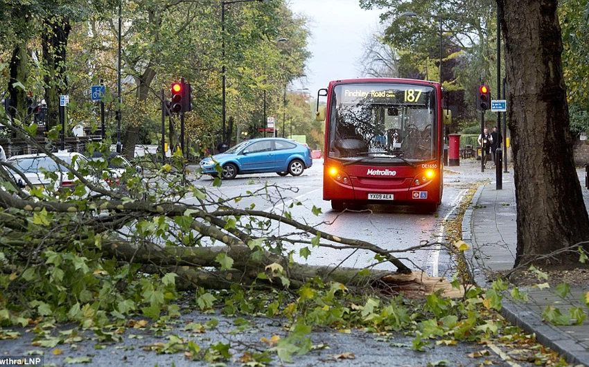 بالصور : عاصفة شتوية مجنونة تُصيب بريطانيا بالشلل 