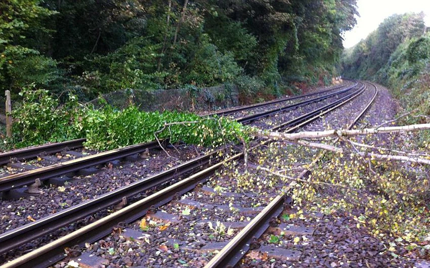 أغلقت أغلب طرقات السكك الحديدية نتيجة لسقوط الأشجار العملاقة عليها