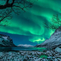 ما الفرق بين أعمدة الضوء وأضواء الشفق القطبي؟