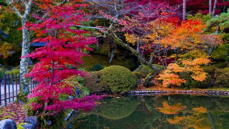 Fall Colors In Japan In pictures: 6 places to witness the wonderful fall colors in Japan ...