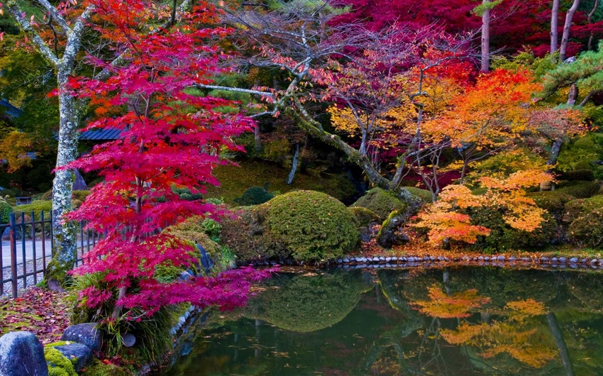 En images : 6 endroits pour admirer les merveilleuses couleurs d&#39;automne au Japon